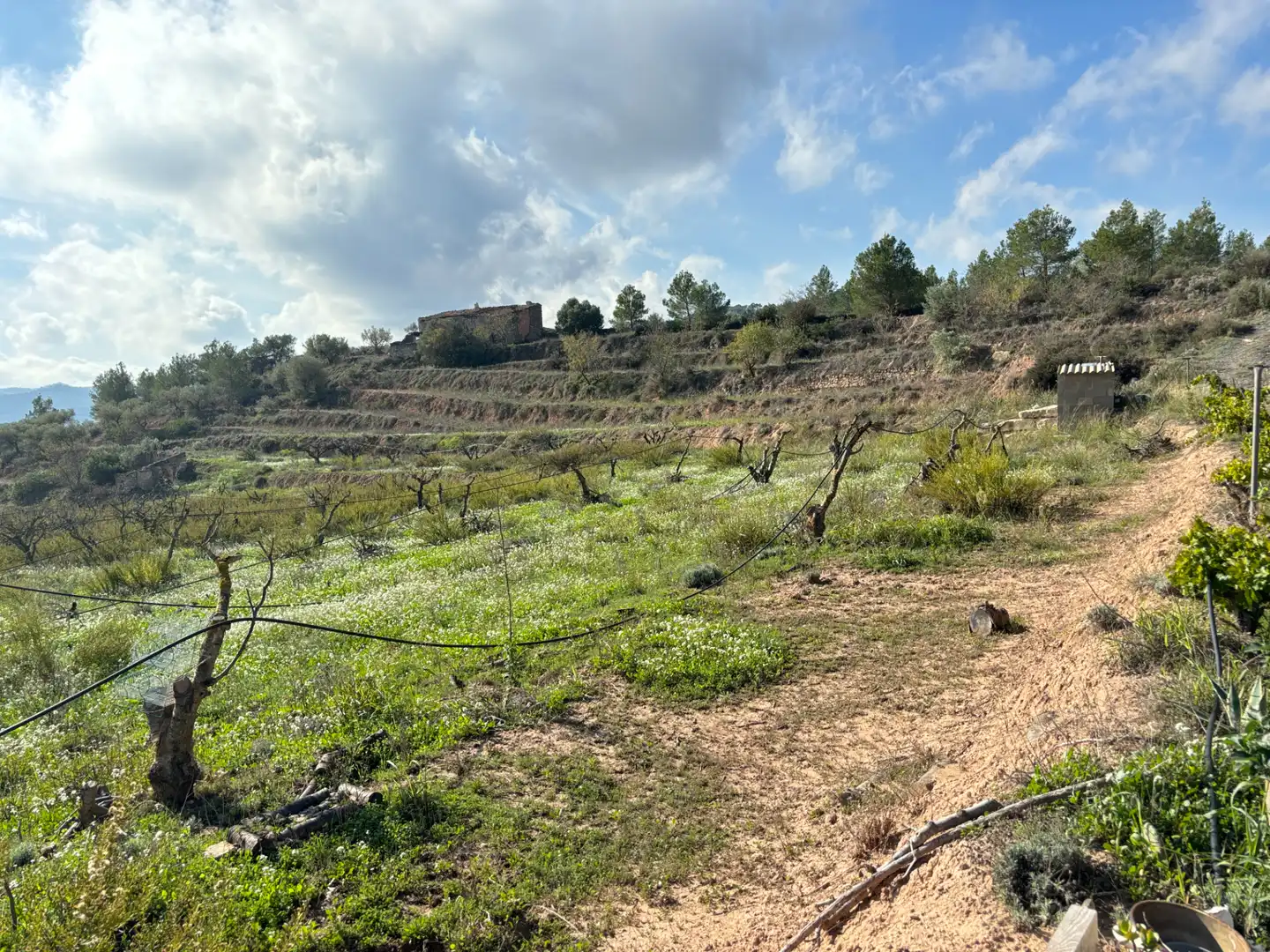 Terreno en venta en La Fatarella