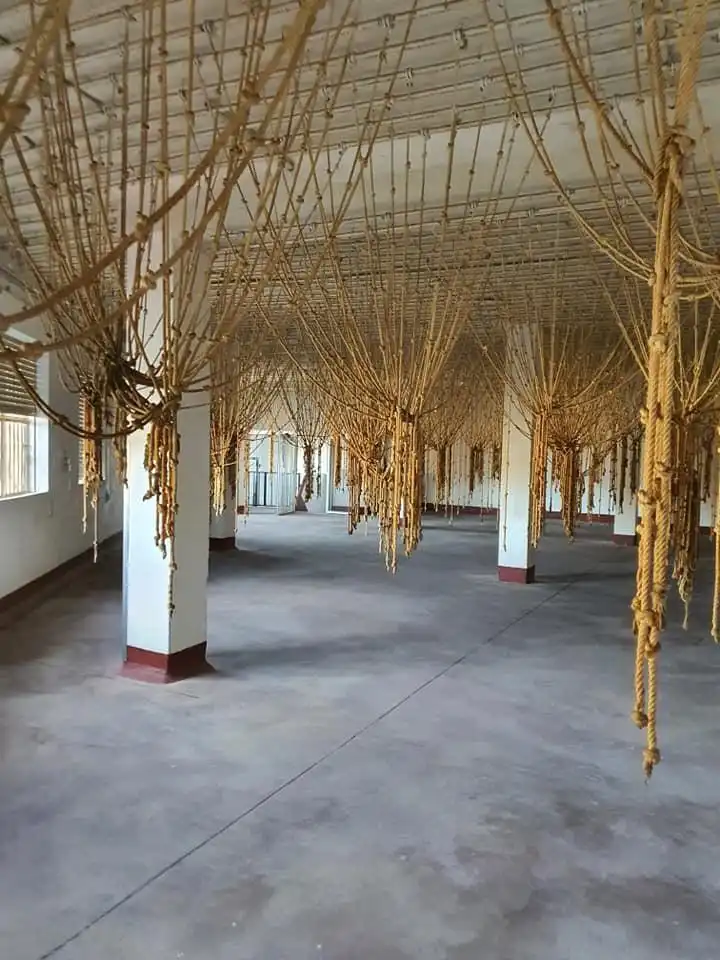Nave industrielle à vendre à Calle cuesta de las fuentes, imagen 9