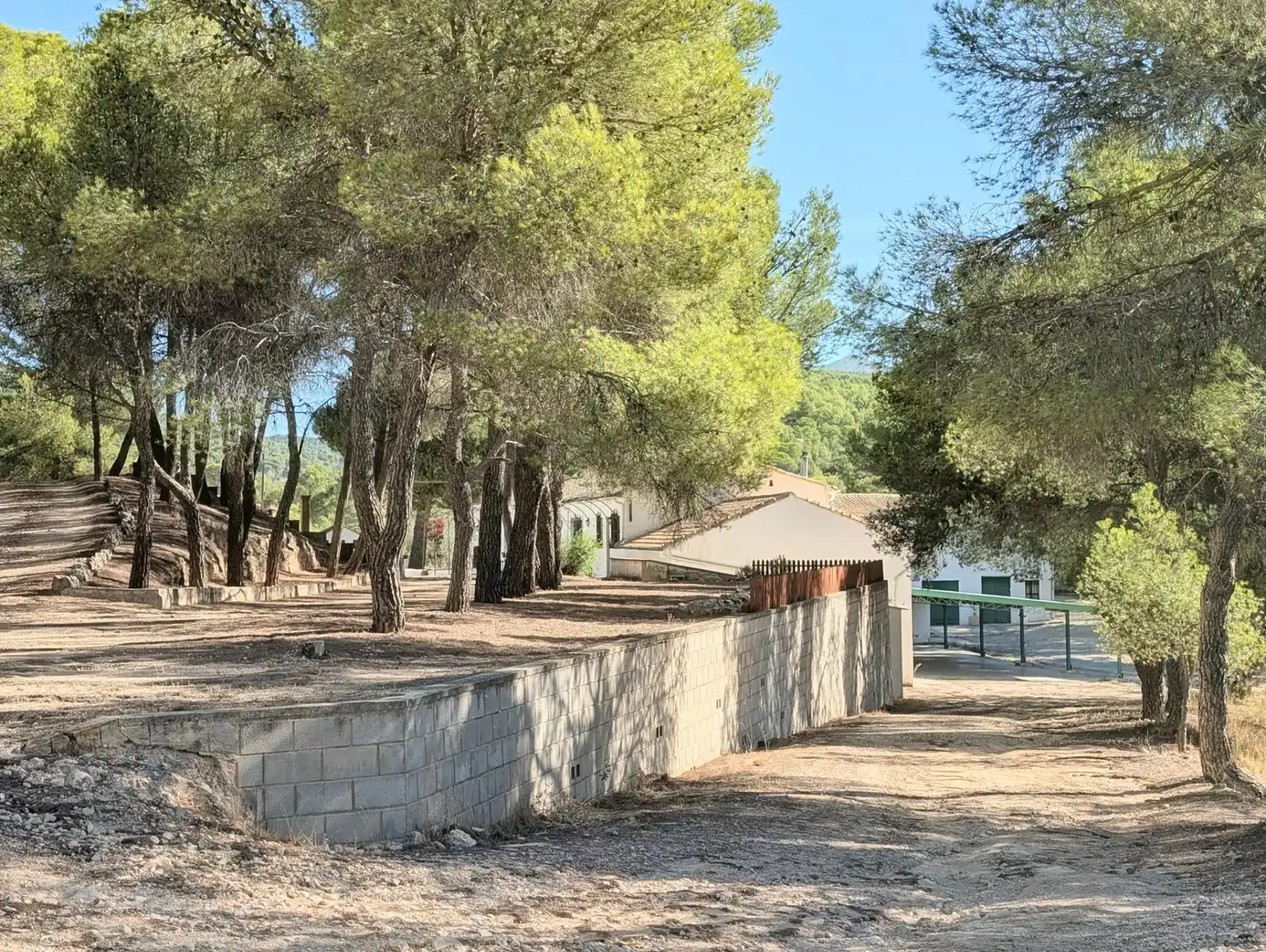 Maison rustique à vendre à Ibi, imagen 62