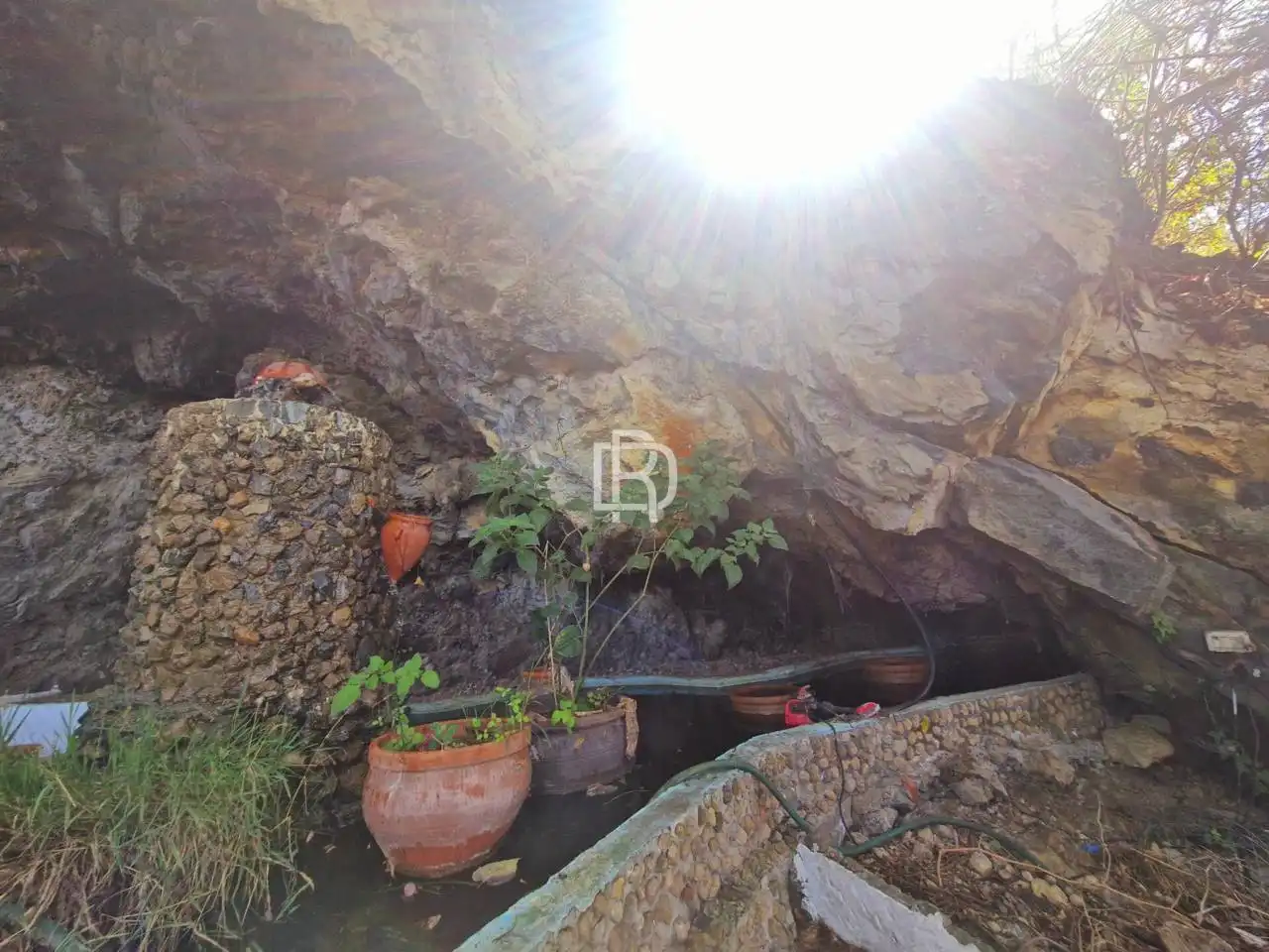 Jardín de Finca rústica en venta en Icod de los Vinos con Jardín privado y Terraza