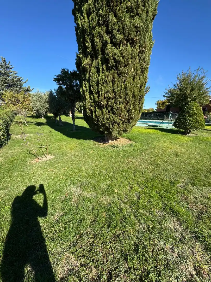 Casa rustica con piscina in vendita a Camíno Viejo Madríd Burgos 1, imagen 39