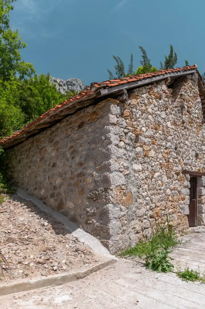 Vista exterior de Terreno en venta en Peñamellera Alta