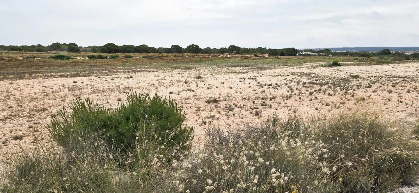 Residential zum Verkauf in Elche / Elx