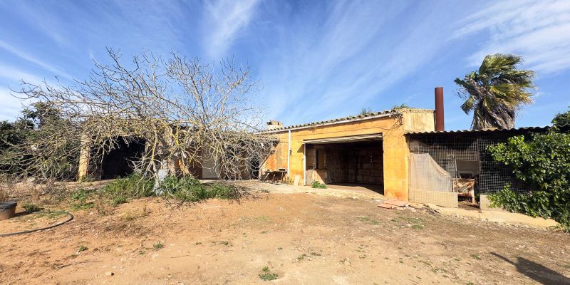 Vista exterior de Finca rústica en venta en Muro