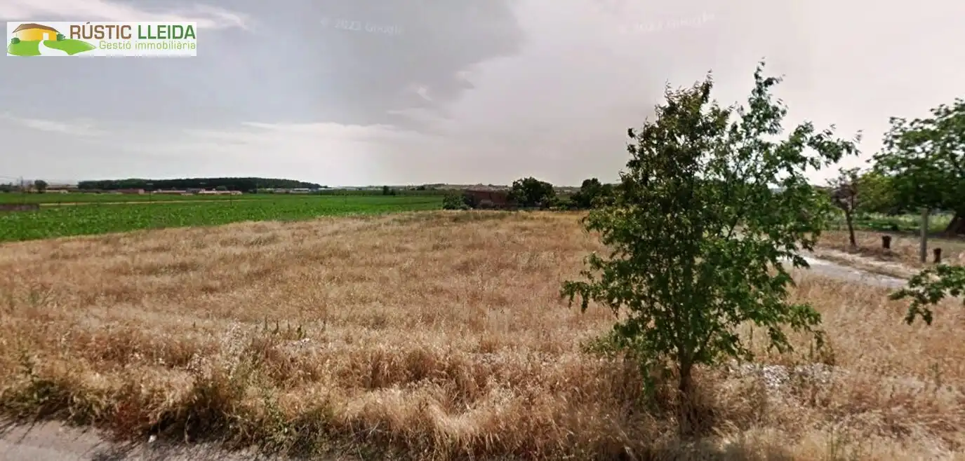 Terreny rústic en venda a Mollerussa, imagen 2