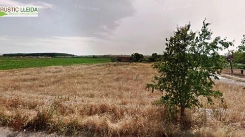 Finca rústica de regadío en Mollerussa  2.152 m2 a solo 2 km del centro ., immagine 2