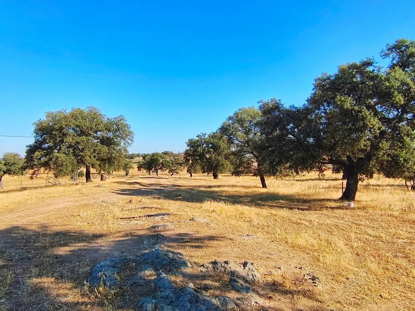 Grundstücke zum Verkauf in Dos Torres