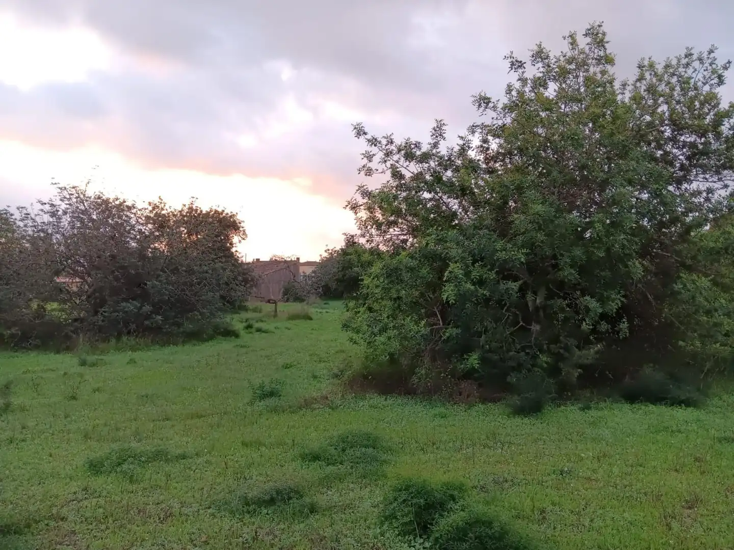 Terrenys i solars en venda a Jesús - Els Reguers, imagen 15