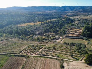 Terrenos y solares en venta en 15, Parcela 32 Freginals 0