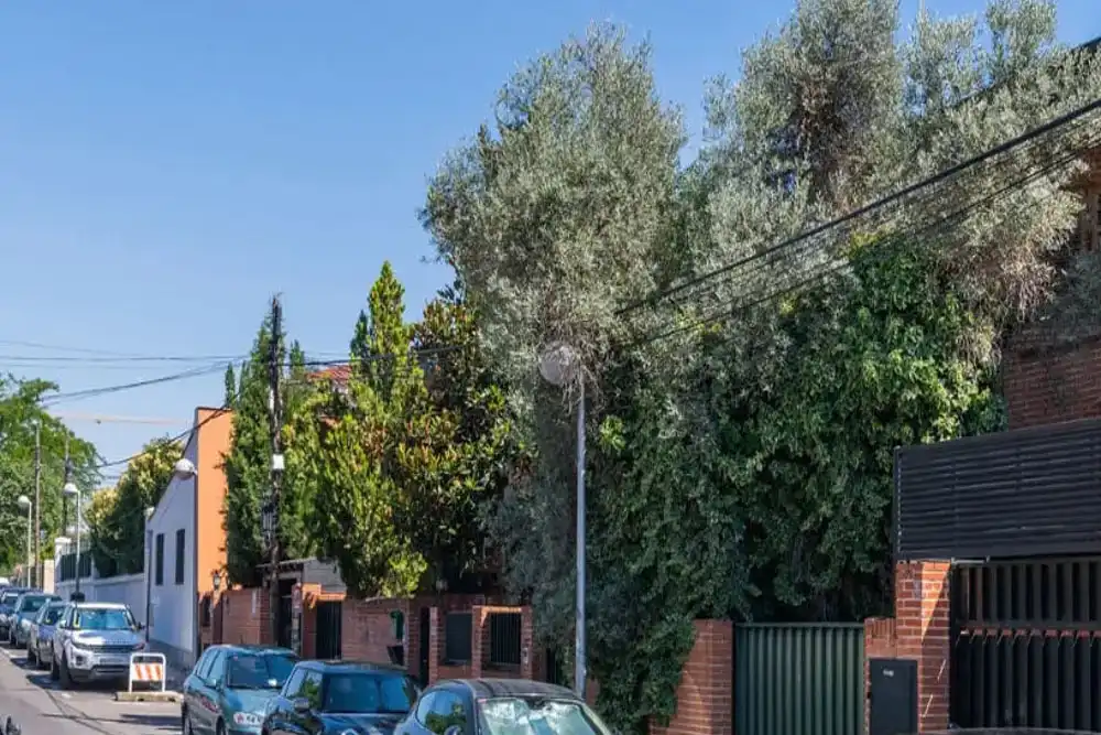Adosado en venta en Calle de Rafael Villa