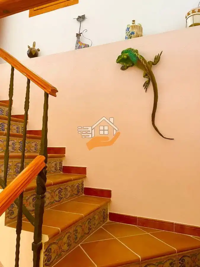 Casa rústica en venta en Vélez-Blanco, imagen 12