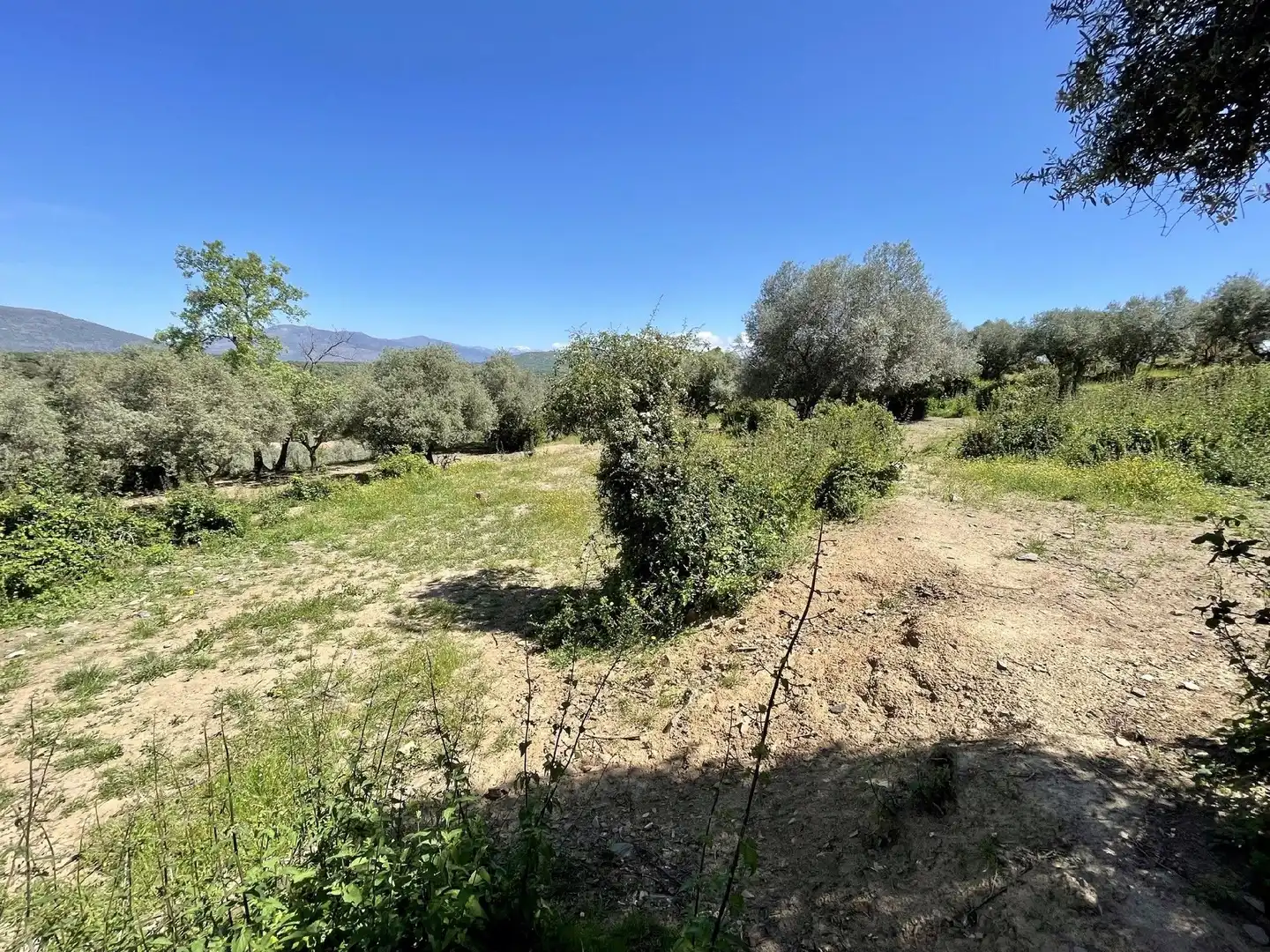 Terreni e lotti in vendita a Malpartida de Plasencia, imagen 3