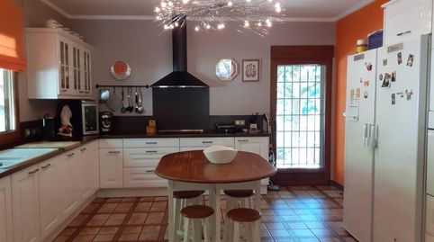 CHALET EN PETRER CON CASA PRINCIPAL Y DE INVITADOS CON PISCINA Y CABALLERIZAS  AMUEBLADO, imagen 5