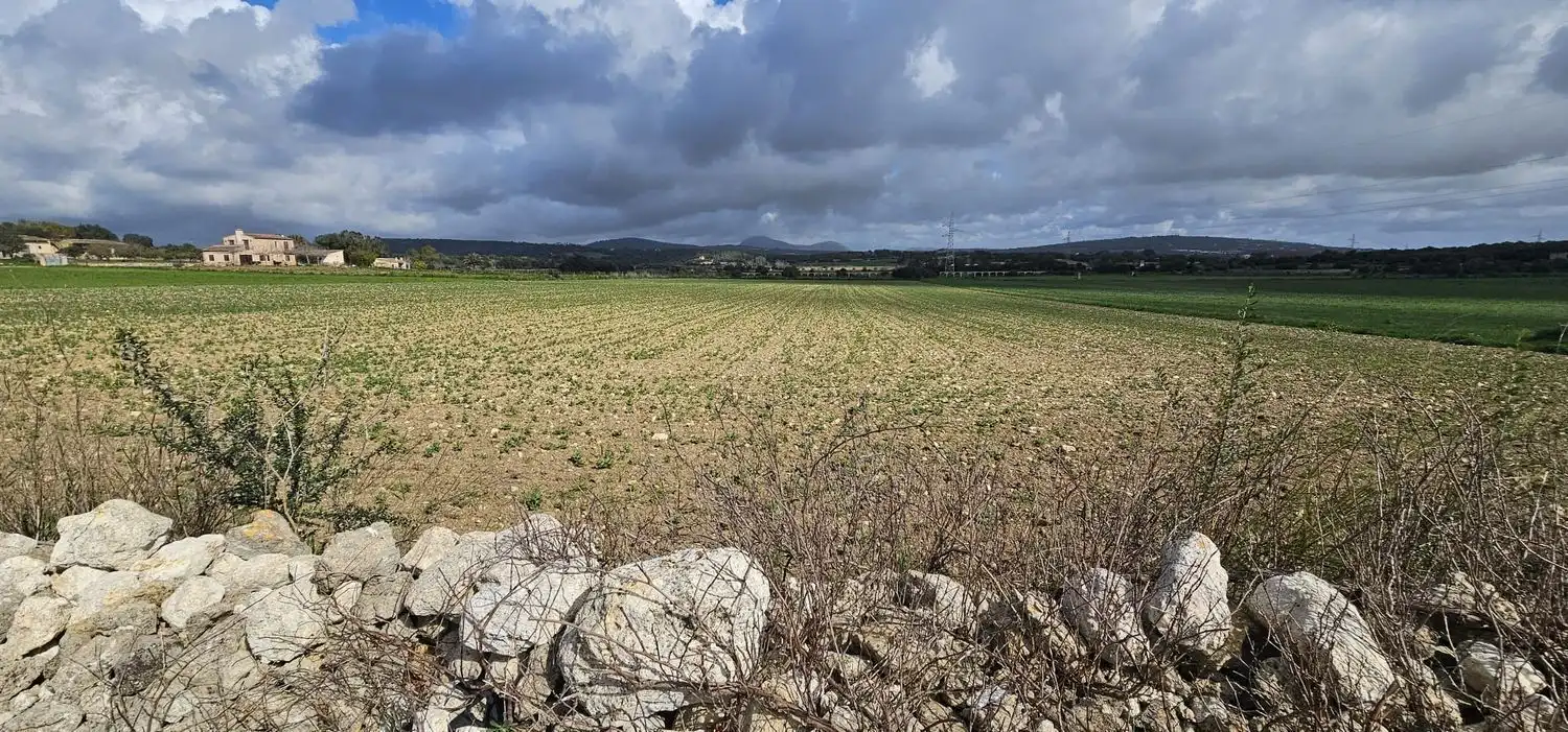 Maison rustique à vendre à Manacor Centre, imagen 4