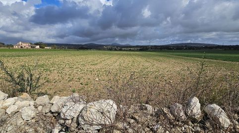 Foto 4 de Finca rústica en venta en Manacor Centre, Manacor