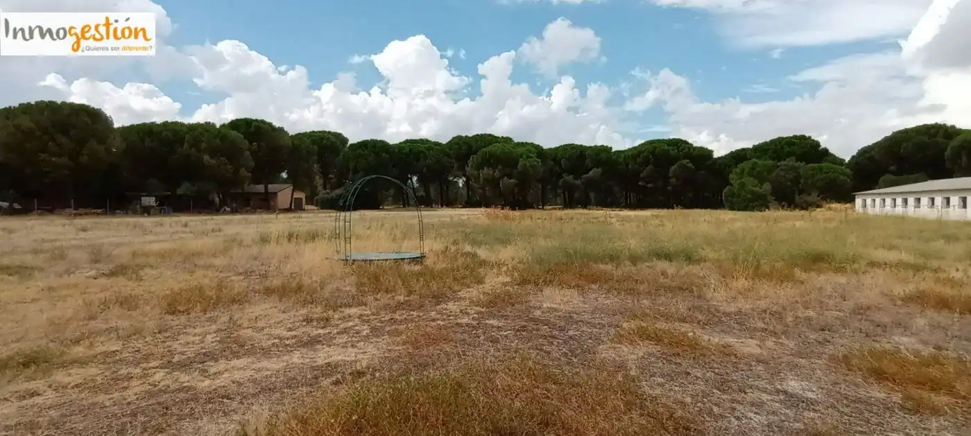 Terreno rústico en venta en Sardón de Duero, imagen 4