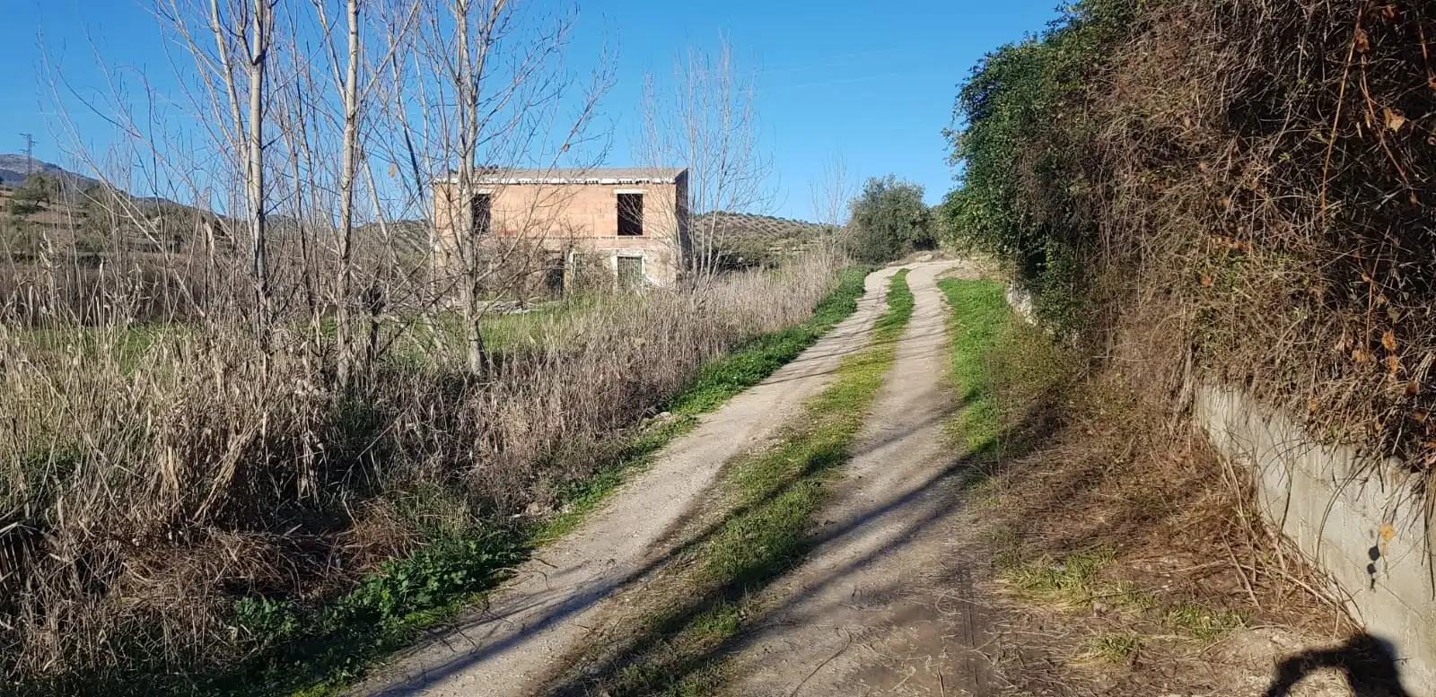 Terreni e lotti in vendita a Alcaudete, imagen 4