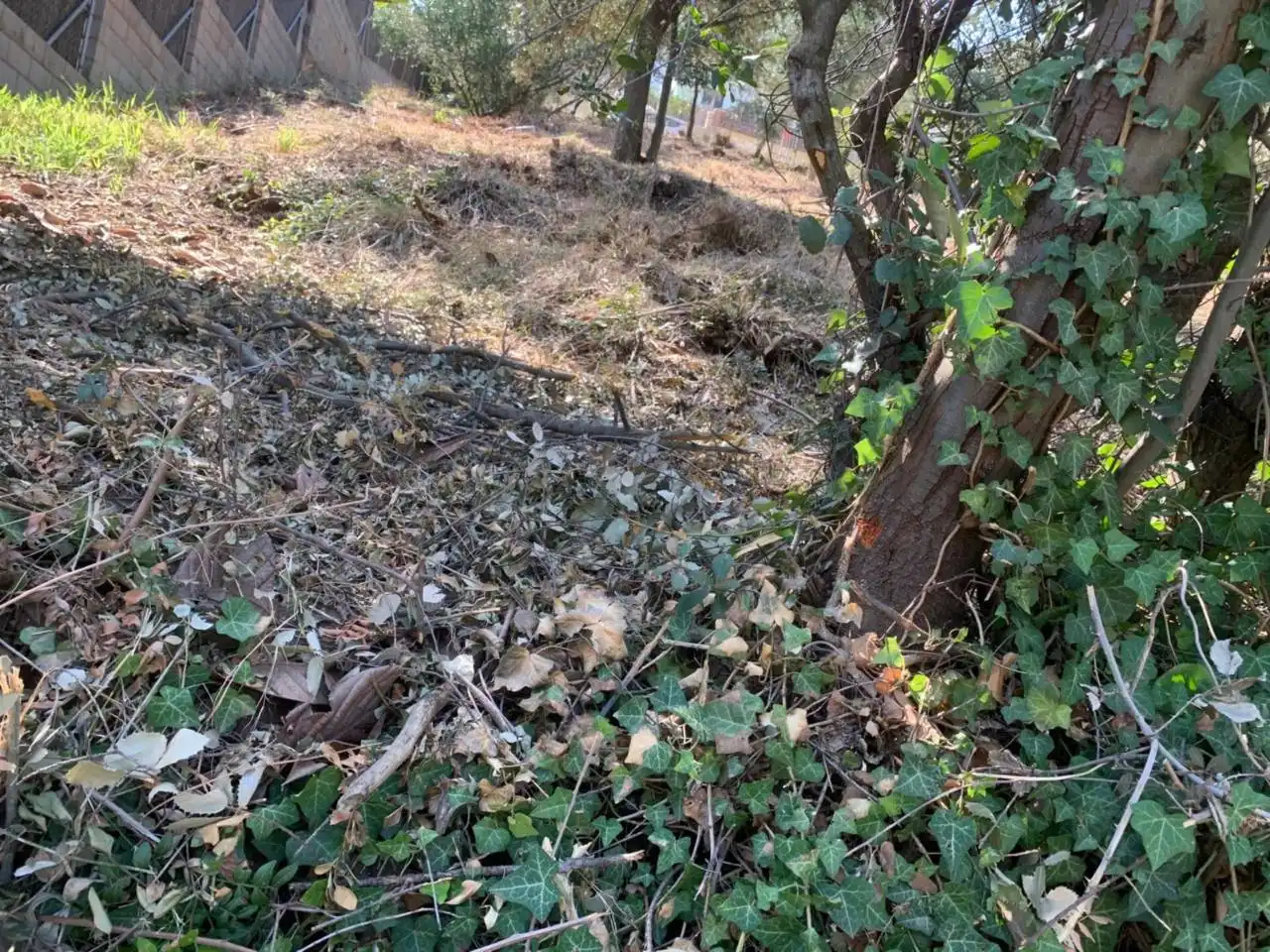 Rustikales Grundstück zum Verkauf in Castellnou - Can Mir - Can Solà, imagen 4