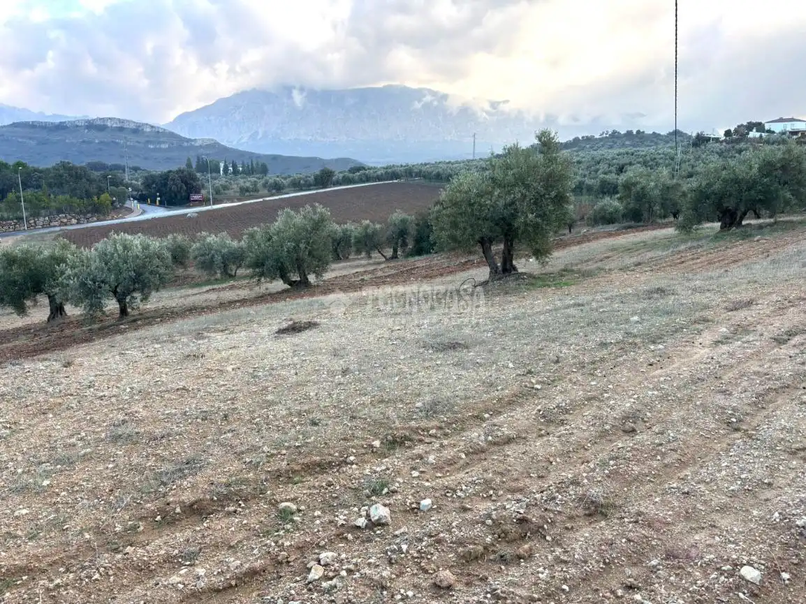 Terreni e lotti in vendita a Centro, imagen 21