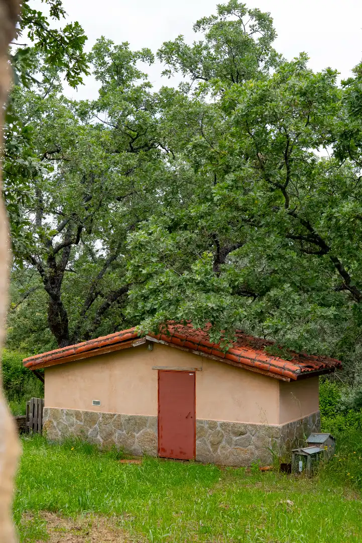 Vista exterior de Terreno en venta en Robledillo de la Vera