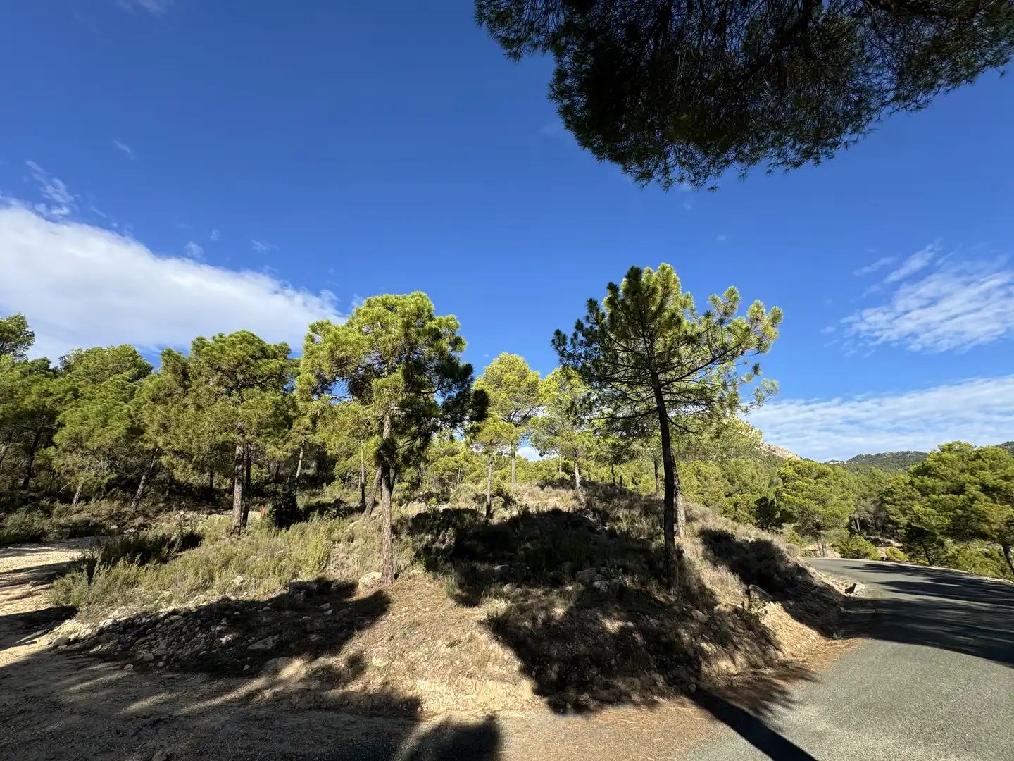 Terreny rústic en venda a Caravaca de la Cruz, imagen 12