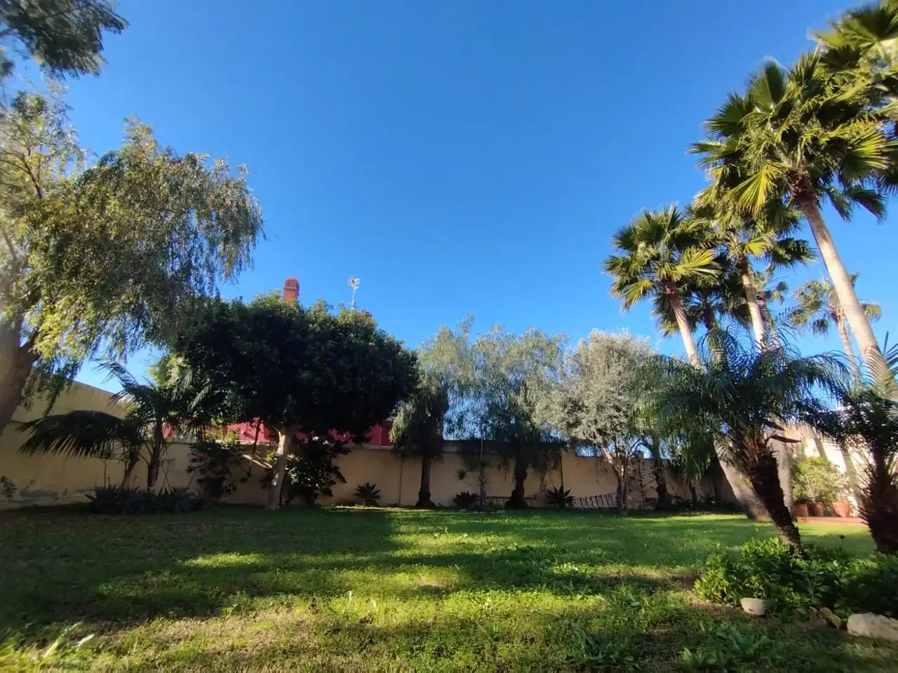 Jardín de Casa o chalet en venta en Sanlúcar de Barrameda con Aire acondicionado, Jardín privado y Terraza