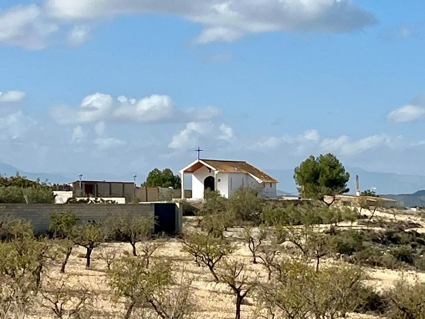 Lands and plots for sale in Bullas, imagen 11