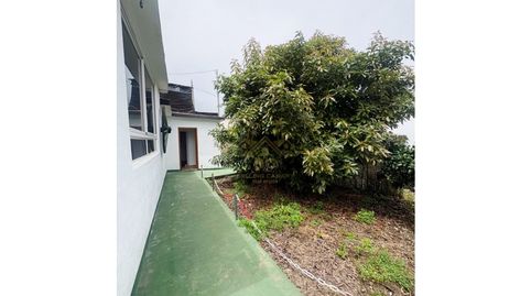Foto 5 de Finca rústica en venda a Palo Blanco, Los Realejos