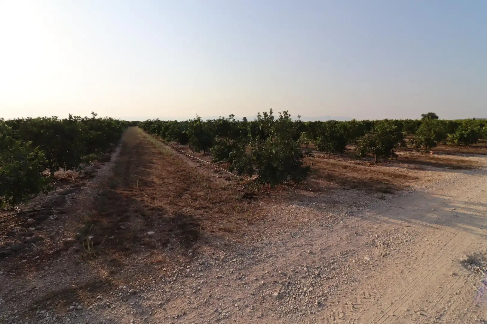 Terreny en venda en Vinaròs