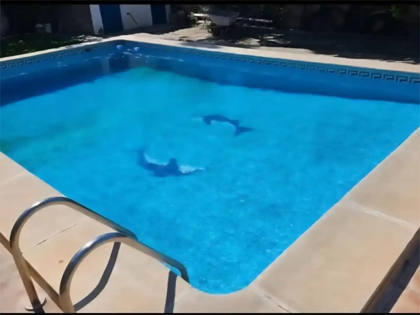 Piscina de Pis en venda en La Línea de la Concepción