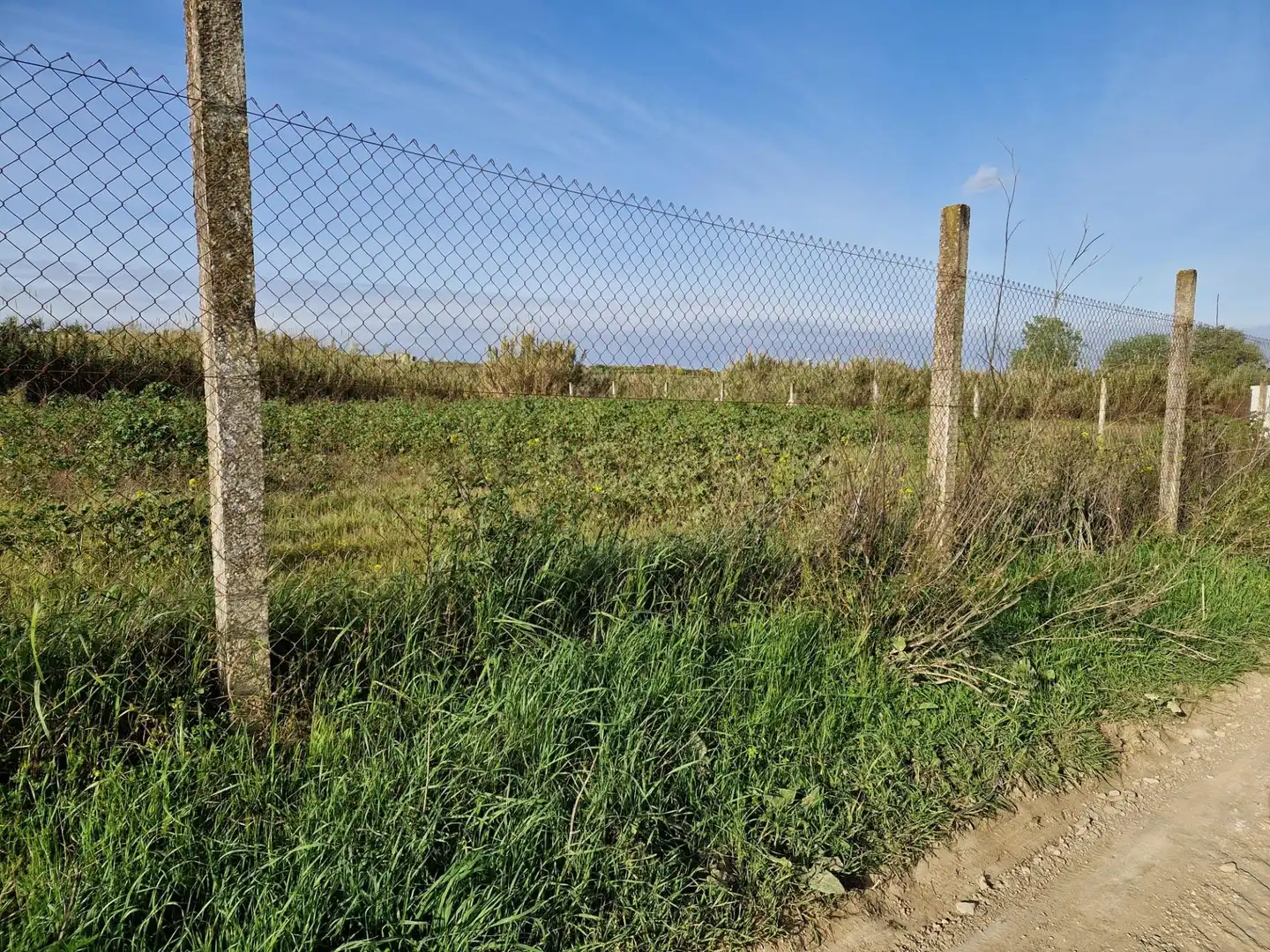 Terreno rustico in vendita a Moguer, imagen 4