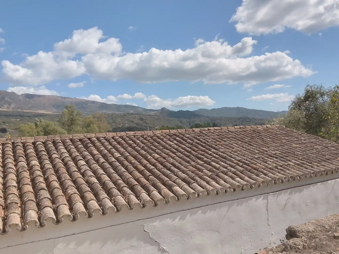 Terrain rustique à vendre à Cortes de la Frontera, imagen 4