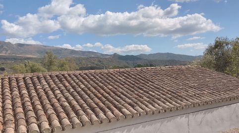 Parcela con servicios urbanos., imagen 4