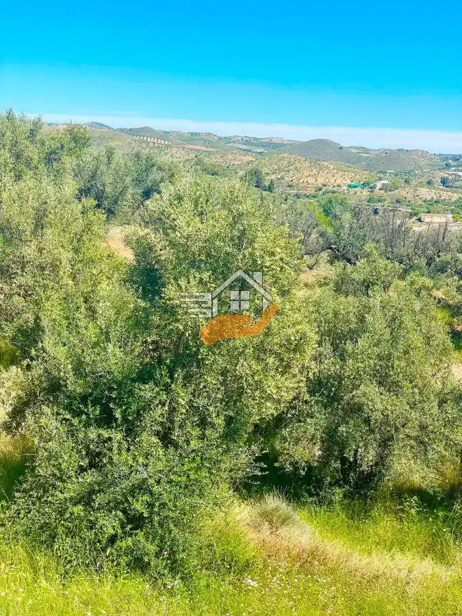 Casa rústica en venda a Vélez-Rubio, imagen 15