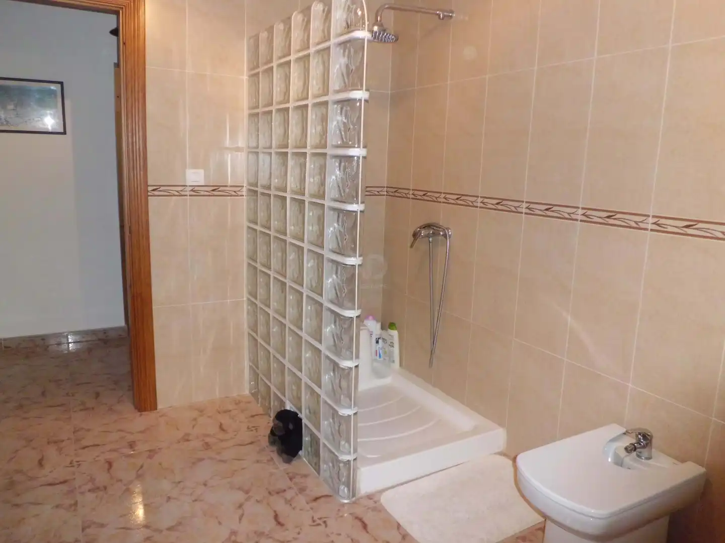 Bany de Casa o xalet en venda en Dehesas de Guadix amb Terrassa