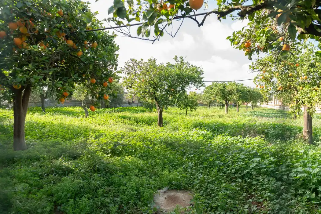 Casa o chalet en venta en Alcalá de Guadaira con Piscina