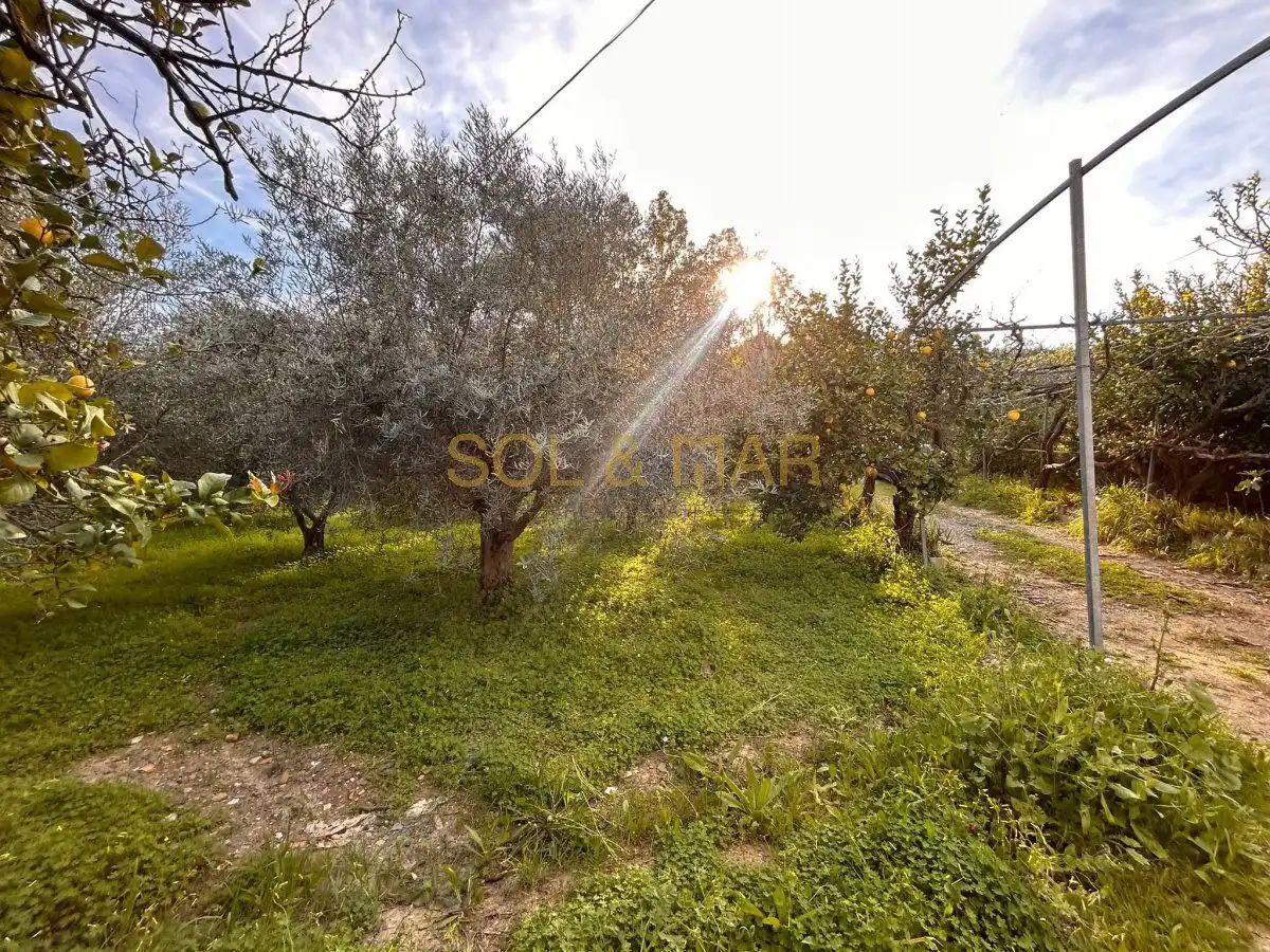 Casa rústica en venta en Nueva Aljaima - Las Tres Leguas - Los Mondeños, imagen 20