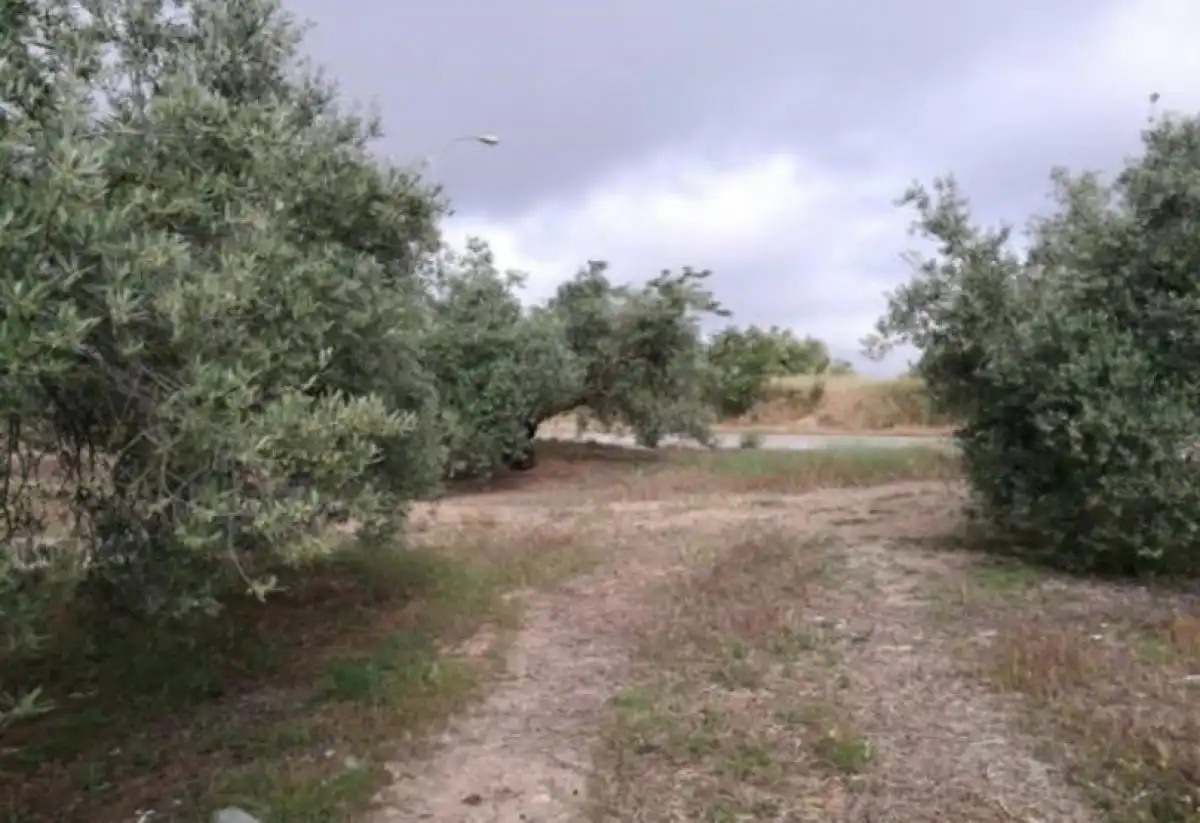 Terreni e lotti in vendita a Martos, imagen 7
