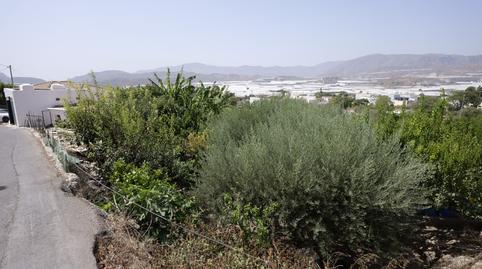 Photo 5 of Country house for sale in Calle la Cuesta, 8, Berja, Almería