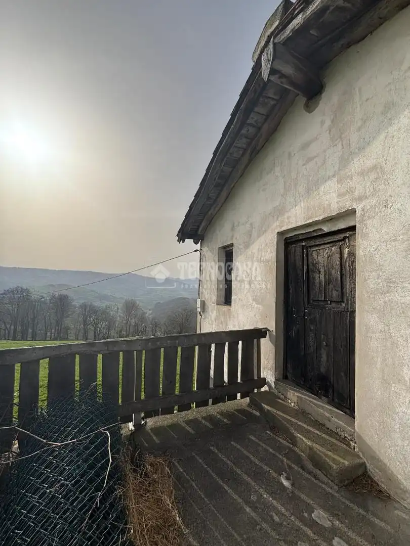 Vista exterior de Finca rústica en venta en Selaya