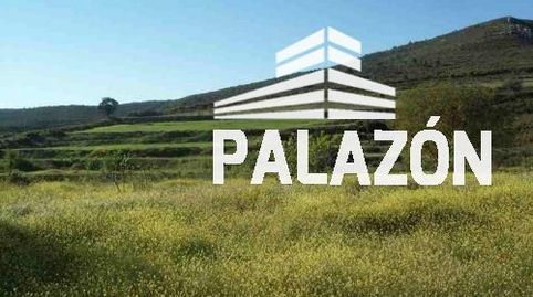 Finca de caza mayor y menor en venta en Ayora Valencia, immagine 5
