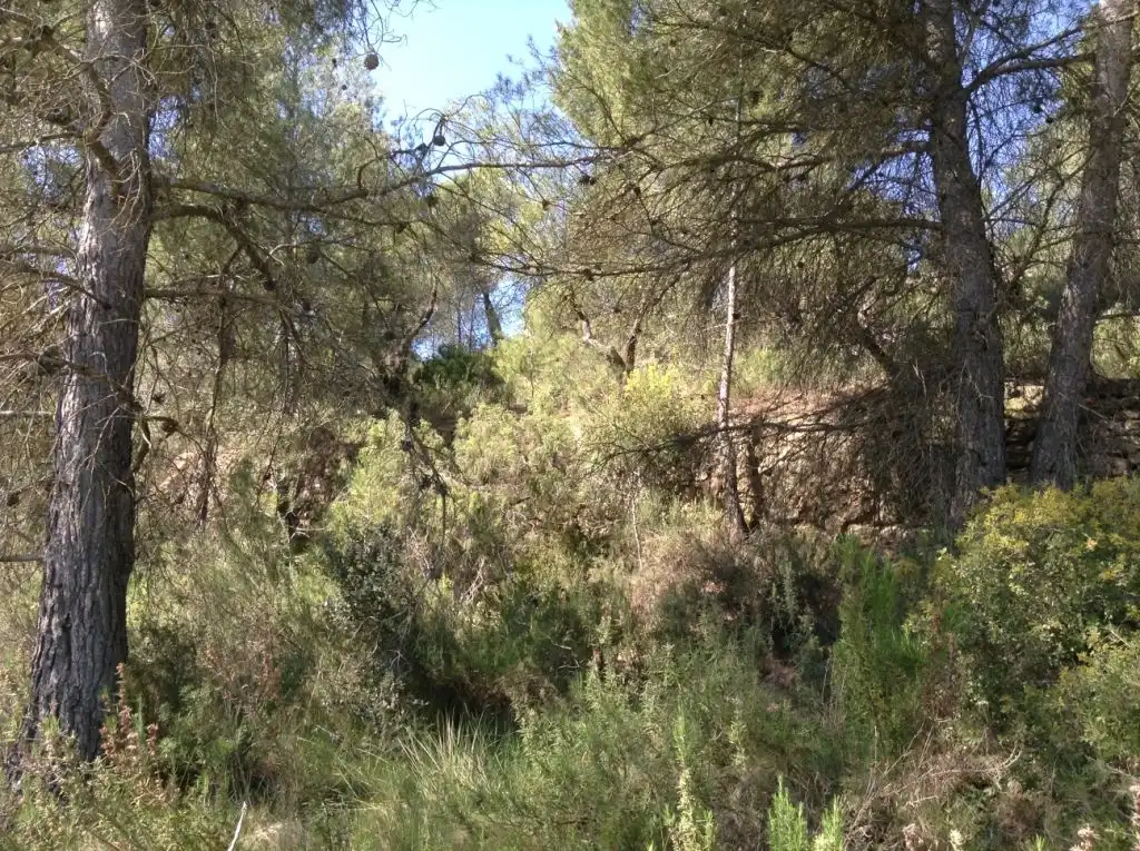 Terreni e lotti in vendita a Arens de Lledó, imagen 5