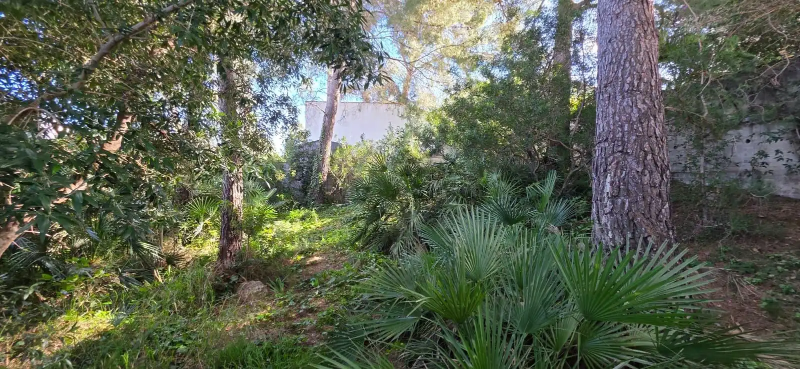 Chalet con piscina en venta en Les Tres Cales, imagen 30