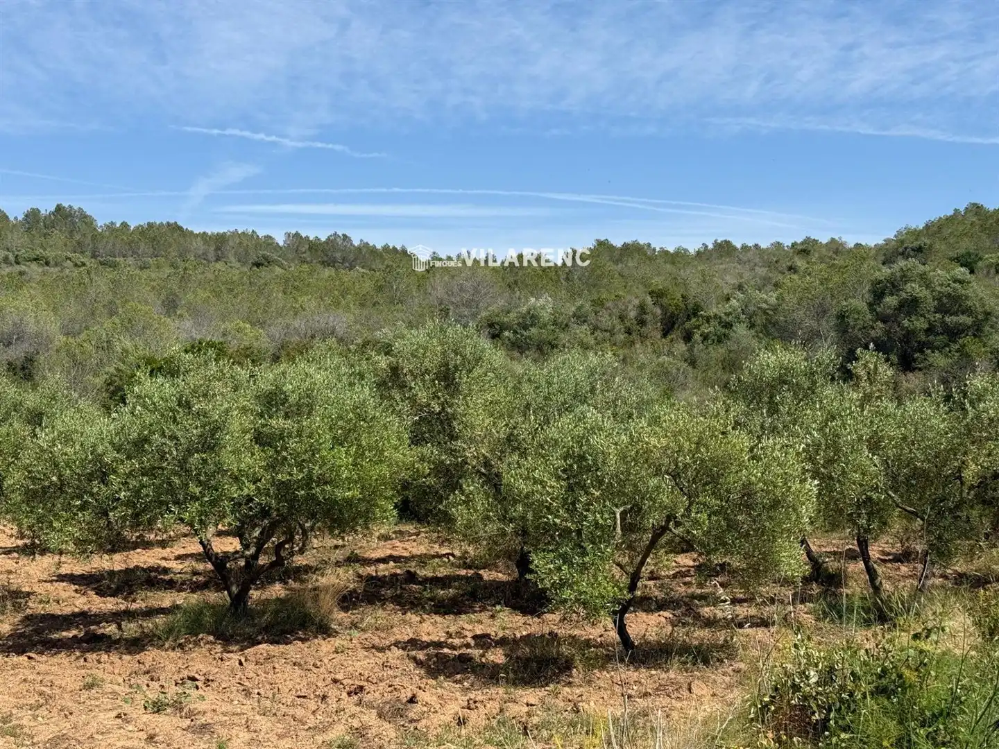 Rural land for sale in Massos de Vespella, imagen 22