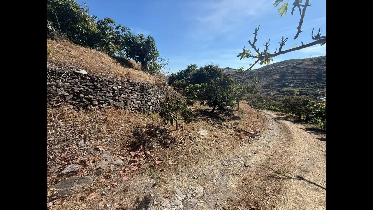 Grundstücke und Bauplätze zum Verkauf in Rambla Caballero, imagen 25