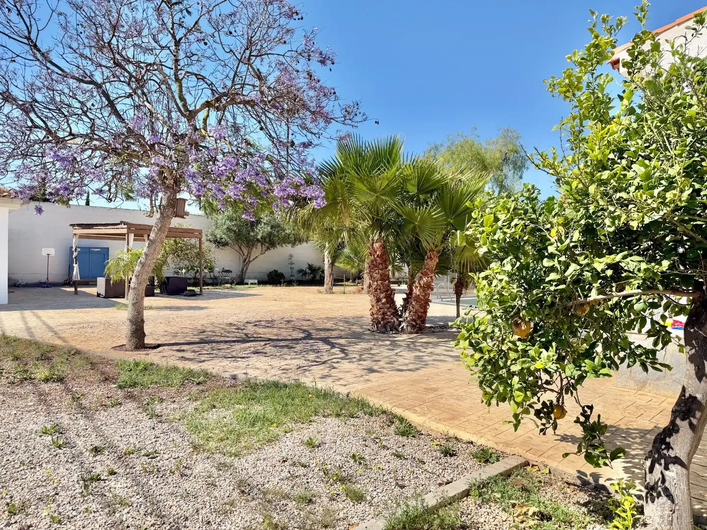 Vista exterior de Casa o chalet en venta en Elche / Elx con Aire acondicionado, Jardín privado y Terraza