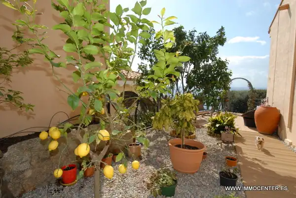 Casa o chalet en venta en Almadrava - Canyelles - Puig-Rom