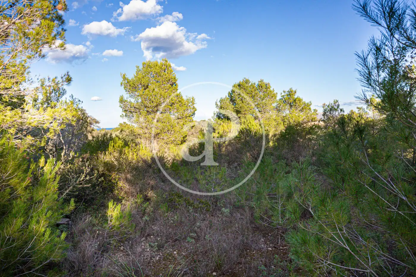 Residencial en venta en Santa Margalida
