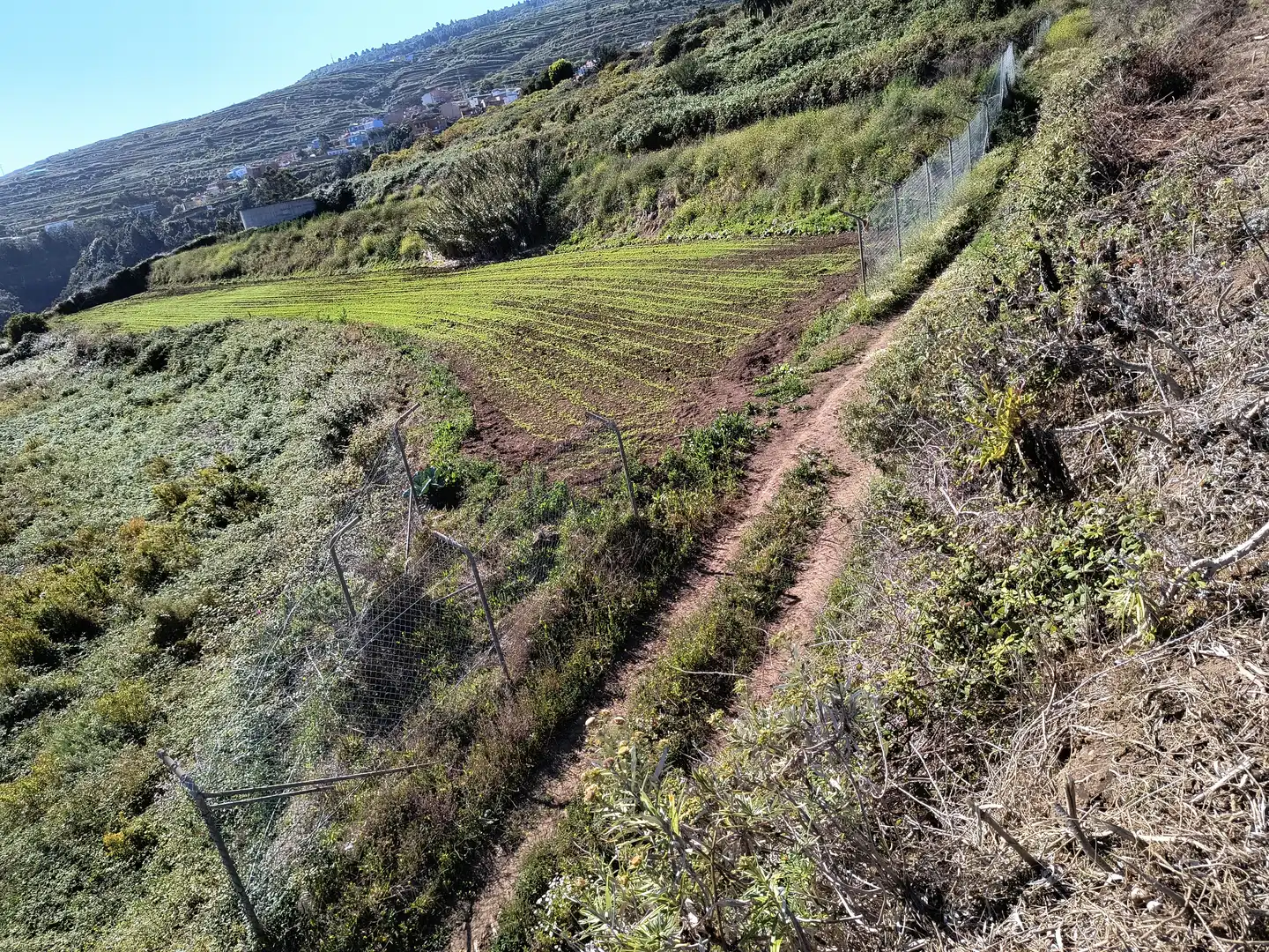 Terreny rústic en venda a Carretera General Ochocientos Veinte 76, imagen 46
