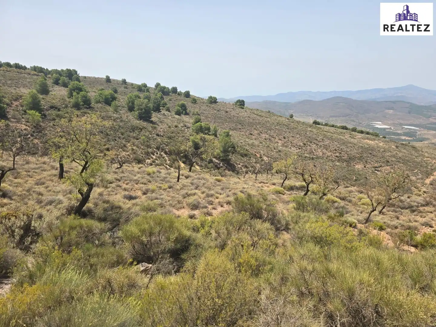 Terrain rustique à vendre à Alcolea, imagen 3